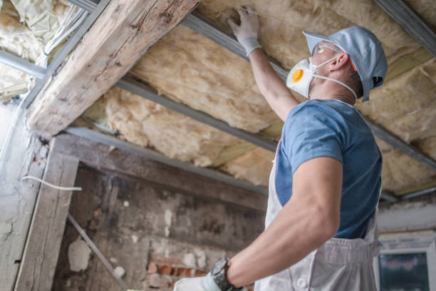 Best Energy Efficiency Solutions in Shields, MI